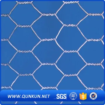 Chicken Wire Galvanized Hexagonal Wire Mesh