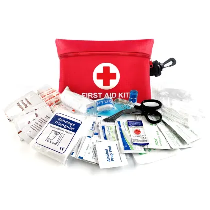 Small Emergency First Aid Kit Bag
