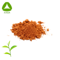 Organic ISO9001 Antioxidant Green Tea Extract Powder 10:1