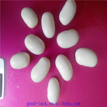 High quality Japanese white kidney beans