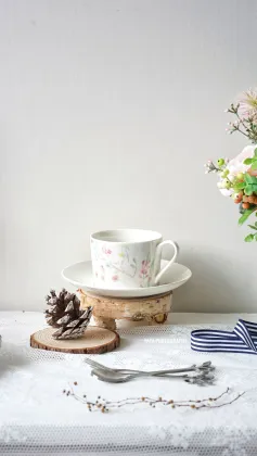 Ceramic illustration style Western tableware