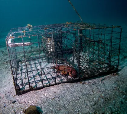 Stainless Steel Lobster Net Trap