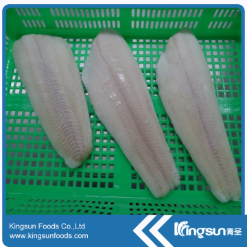 Alibaba Golden Supplier Top Quality Frozen Greenland Halibut Fillet