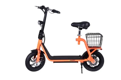 Chihui Scoot XScoot 350W 36V Stand Up Electric Scooter with Seat