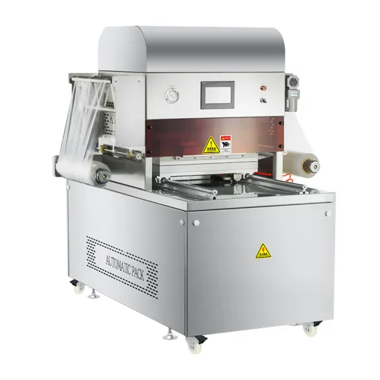 Leadworld Automatic Frozen Food Vacuum Packing Machine Line for Meat, Fish, and Cheese