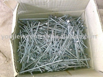 common nails