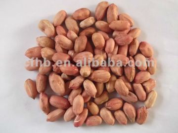 Peanut Kernels