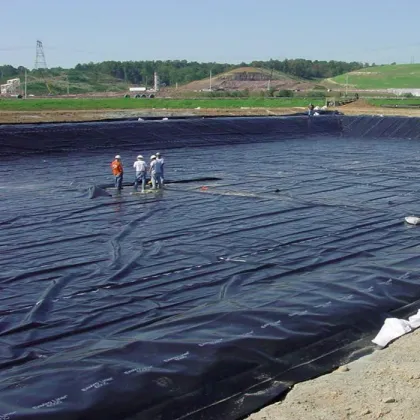 Layfield Geomembrane Visqueen High Performance Pond Liner for Reservoir Projects in South Africa