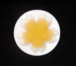 5.5\" FLOWER  PLATE