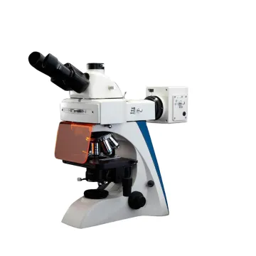 Microscope Prices and Accessories: Fluorescent Microscope Lab Stand