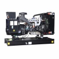 Power Diesel Generator with Perkins Engine Price list