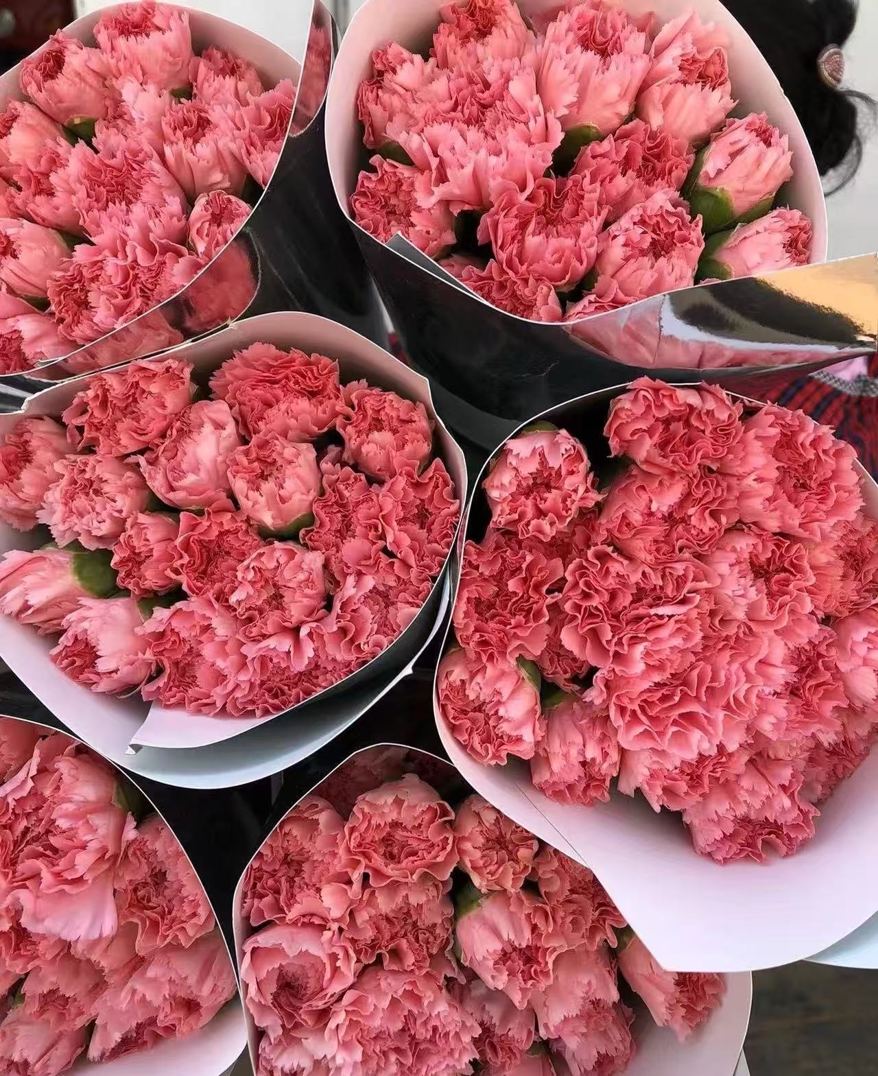 Single－headed carnation powder zhuan
