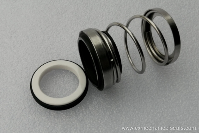 Replace Flowserve Type 21 Mechanical seals