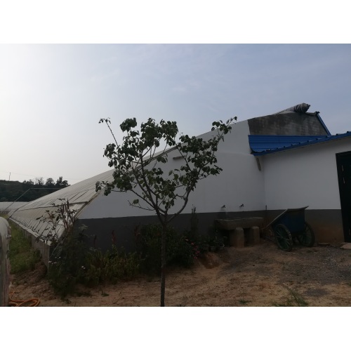 Insulated Board Solar Greenhouse