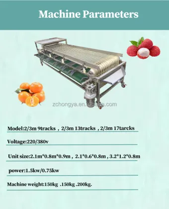 Orbital Type Stainless Steel Olives and Fruit Sorting Machine