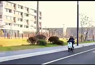 2025 Small Tortoise Electric Bike 60V Standard Adult Motorcycle