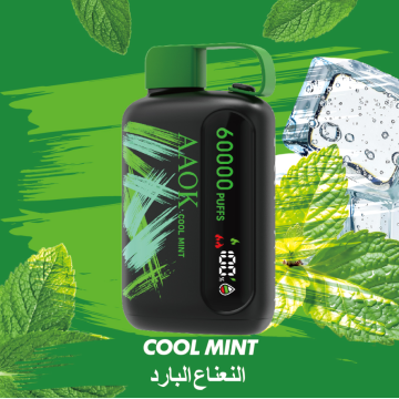 AAOK 60000 PUFFS Airflow adjustable Disposable Vape