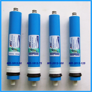 Hot manufacturing ro membrane