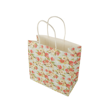 HandleWith Printing Recyclable KraftPaper Laundry PlasticBag