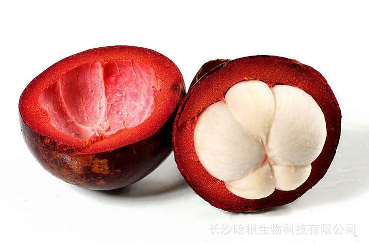 Alpha mangostin powder mangosteen extract (2)