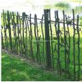 Crafts Decorative Wrought Iron Fencing