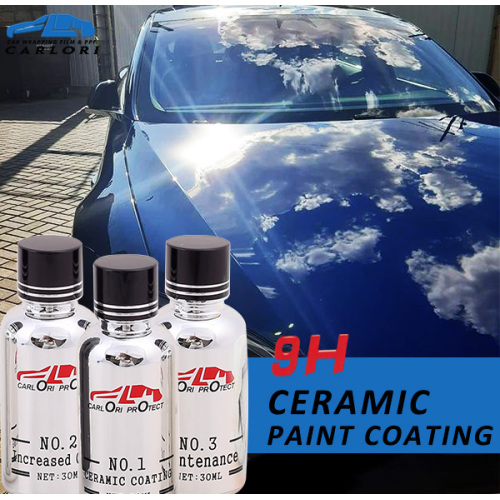 paint correction and ceramic coating