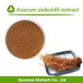 Asarum Sieboldii Extract Powder Herba Asari Extract 10:1