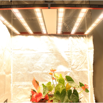 LED Grow Lights 700W för Hydroponics Medical Plant