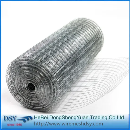High Quality 1/2 inch Galvanized Welded Mesh
