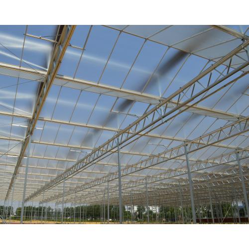 Scientific Research Agricultural Planting Greenhouse