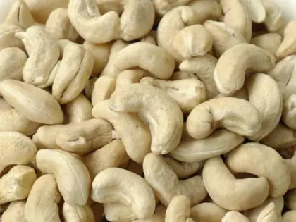 cashew processing plant raw dried cashew nuts indonesia