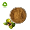 Tee-Baum-Samen-Extrakt-Tee Saponin 98% Pulver