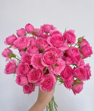 Pink Spray Sophy's Roses Fresh Cut Wedding Spray