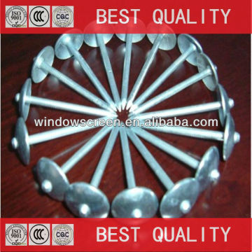 export africa Nigeria Umbrella roofing nails
