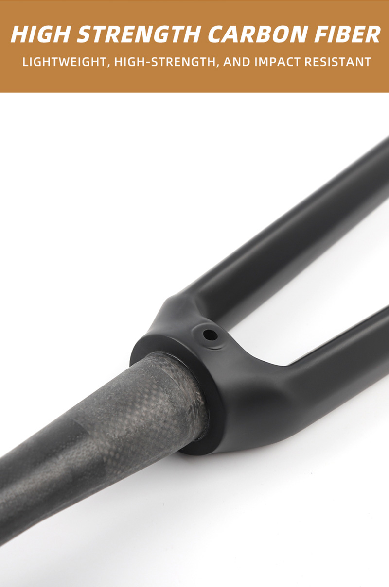 Bike Fork Carbon