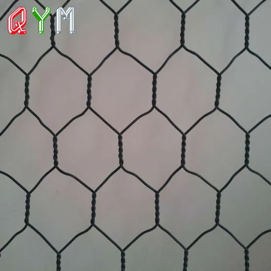 Pet Agriculture Fish Farm Netting Hexagonal Wire Mesh Econet