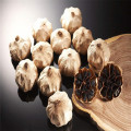 /msite/products/detail/productid/53808032/id/513097.html