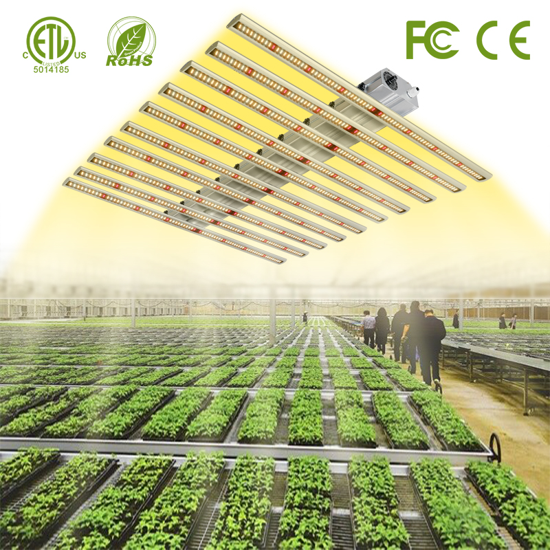 Led Grow Lights for Commercial Greenhouse