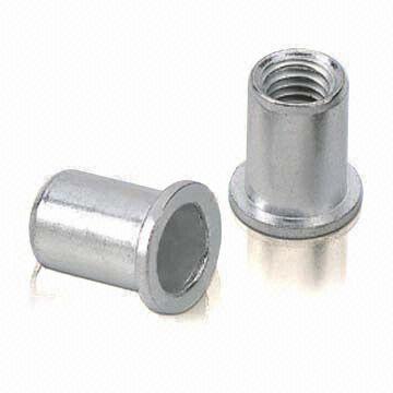 Rivetto dadi, tondo di corpo, direttiva RoHS-compliant