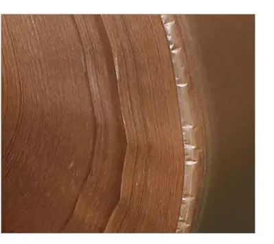 Electrical Insulating Composite Capacitor Paper JZ-6531 PMP with Polyester Film PMP