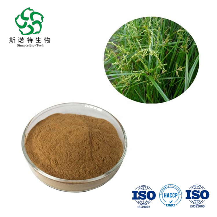 Galingale Rhizome Rhizoma Cyperi Extrait Powder