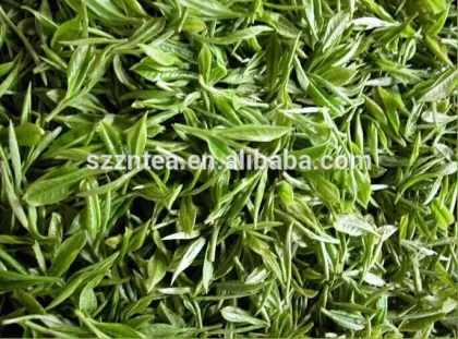 9380 tea health food organic green tea meicha price per kg