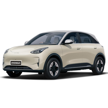 Geely Xiangyuan 4WD: 2024 Electric Luxury Smart Car with 310km/410km Range
