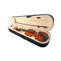 High quality spruce maple violin with case