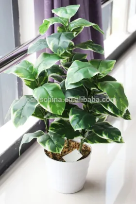 rubber ficus tree, bonsai tree, artificial tree