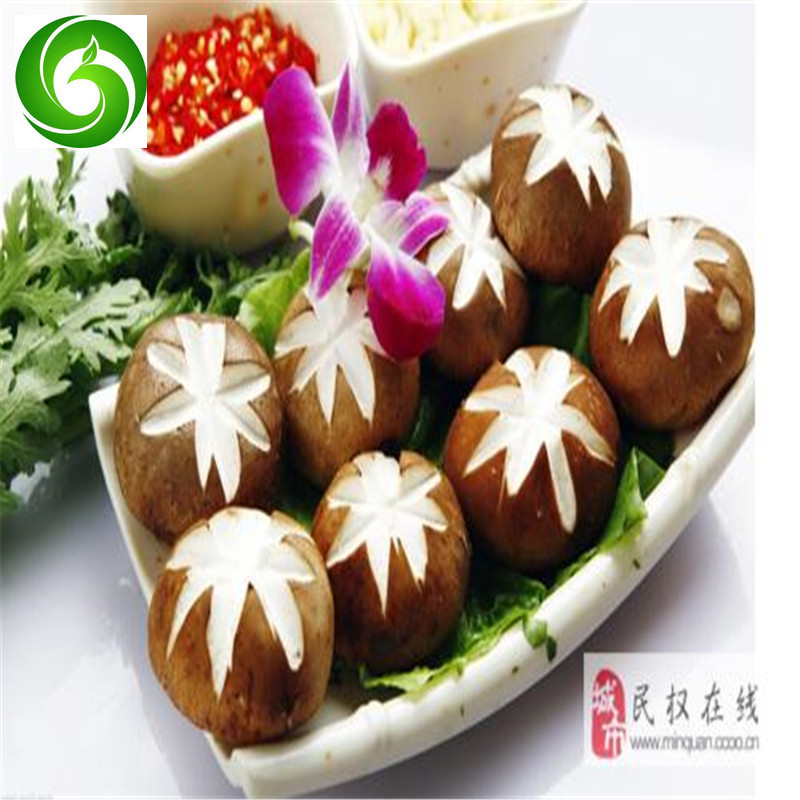 High-quality organic shiitake mushrooms, pure and natural, enhance immunity, anti-aging