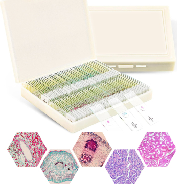 50 Animal + 50 Plant Slide Kit: Hochwertige Biologie -Mikroskop -Folien für Universitäten und Schulen