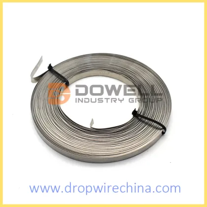 Stainless Steel Strap for Telecom Part