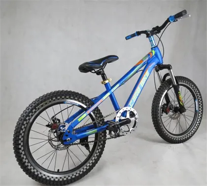 20 size mountain bike for boys
