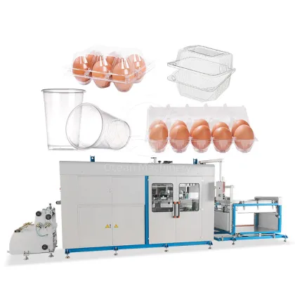 Ocean Plastic Egg Tray and Disposable Cup Making Machine Price